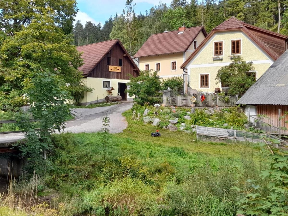 Apartment Nazbauerhof Rohr im Gebirge